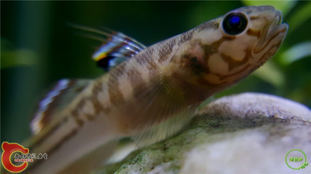 2016-04-02 16.15.38.jpg