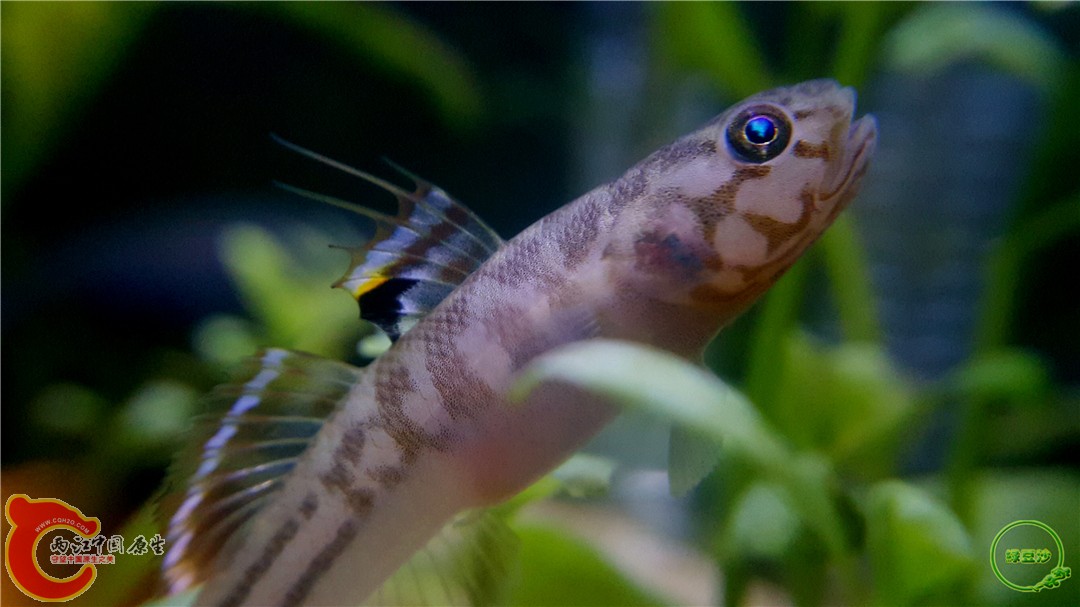 2016-04-02 16.16.34.jpg