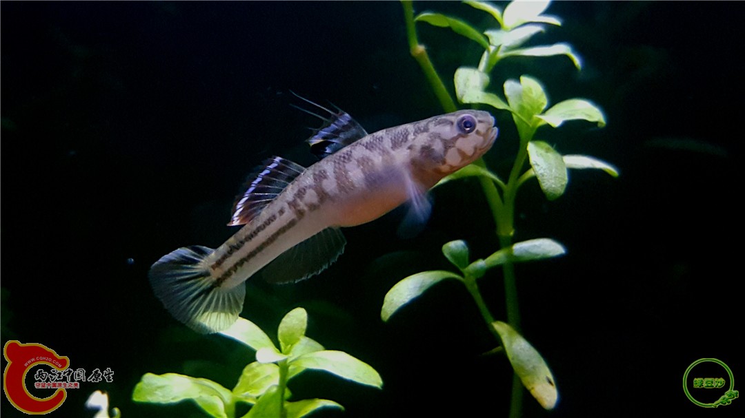 2016-04-05 20.07.18.jpg