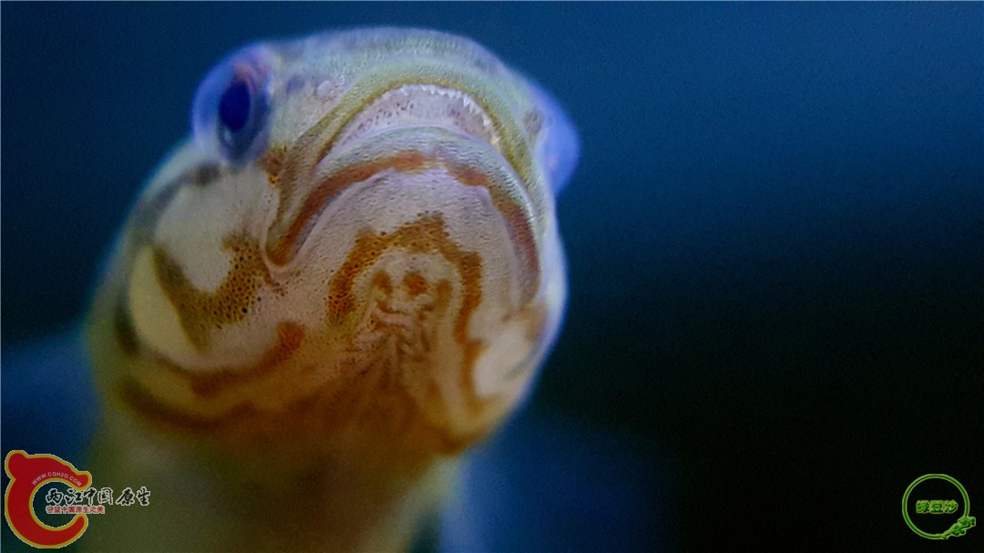 2016-04-06 20.45.25.jpg