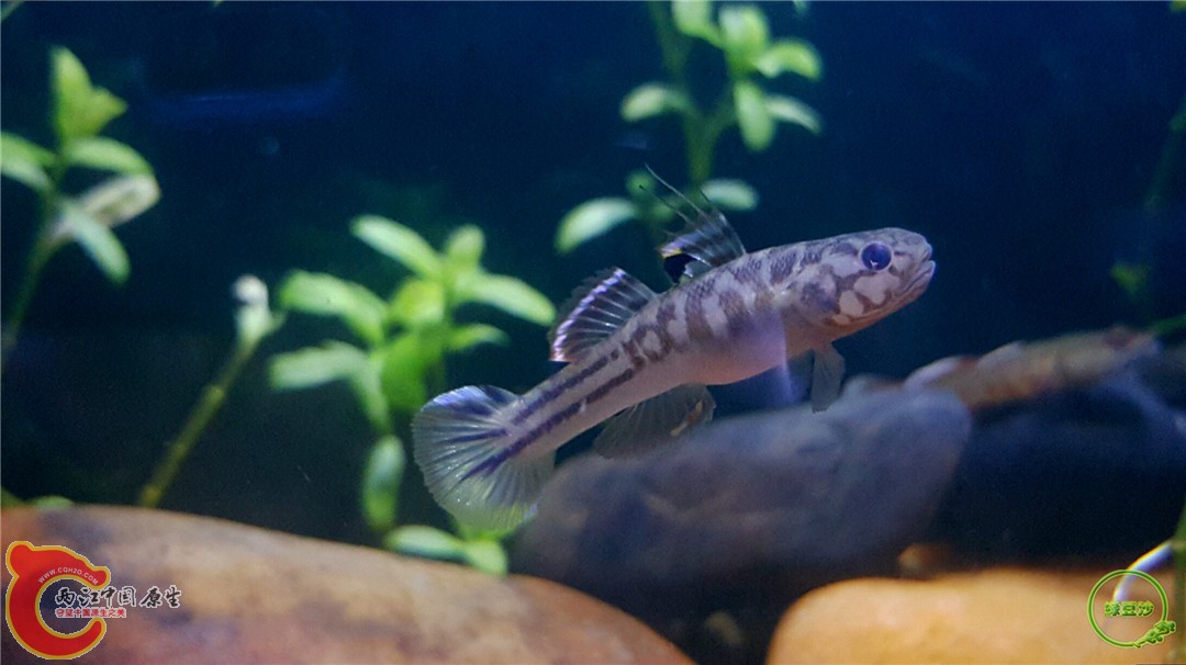 2016-04-07 10.33.35.jpg