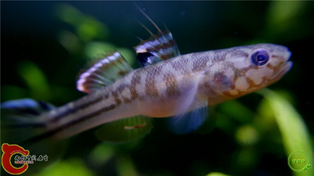 2016-04-07 10.34.13.jpg