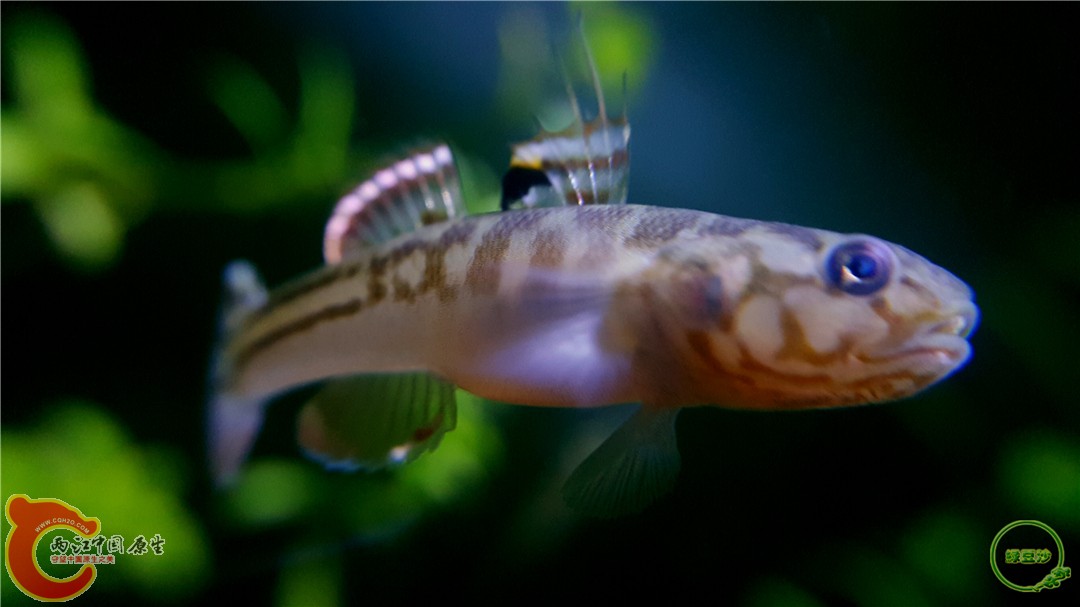 2016-04-07 10.34.33.jpg