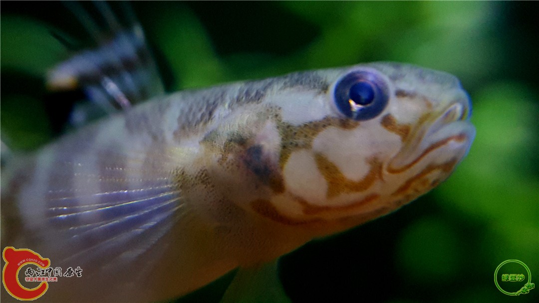 2016-04-07 10.35.44.jpg