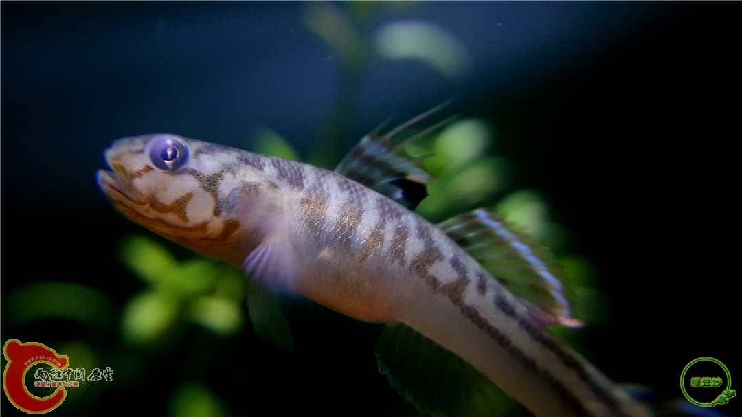 2016-04-07 10.36.06.jpg