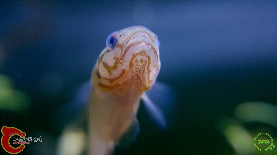 2016-04-07 10.36.27.jpg