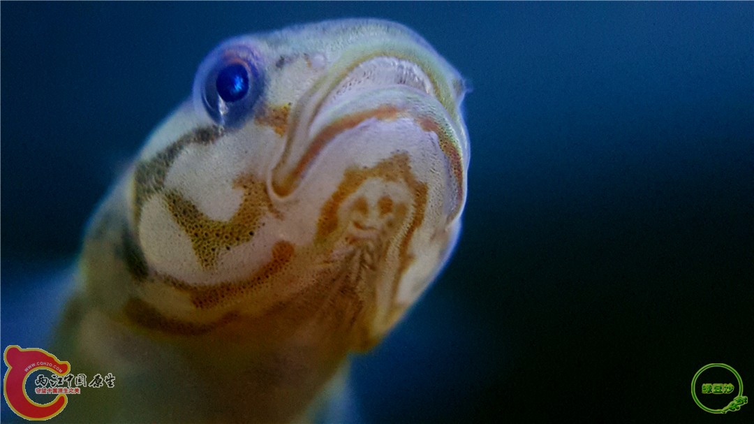 2016-04-07 10.36.48.jpg