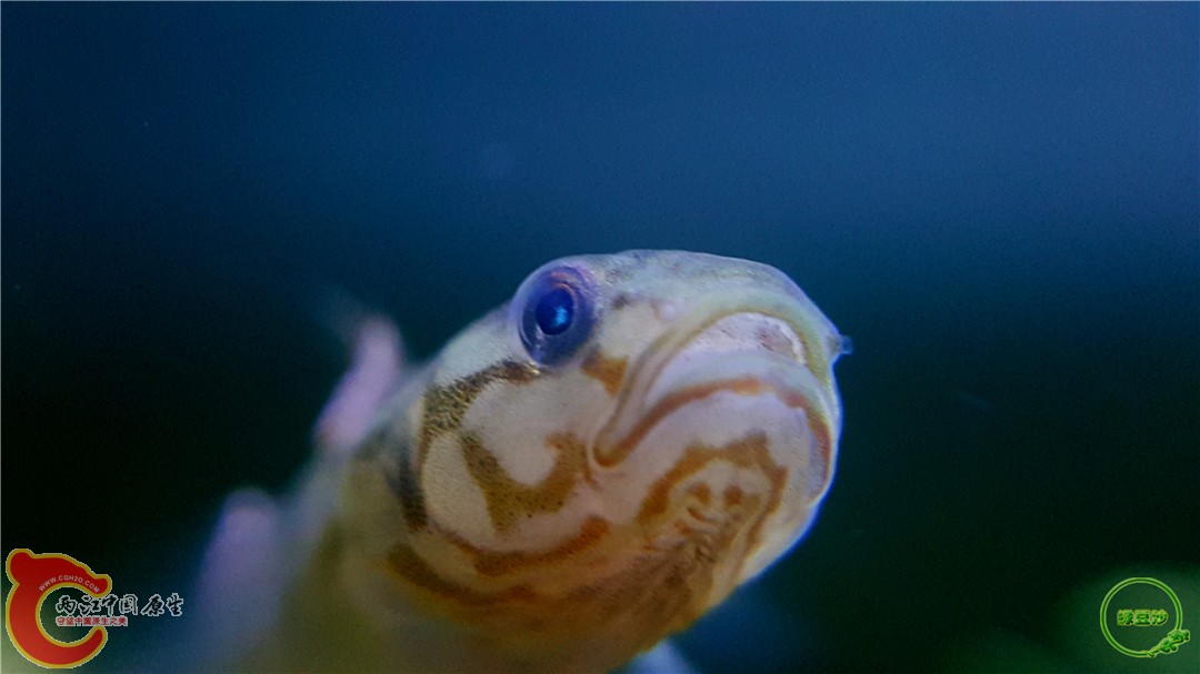 2016-04-07 10.37.15.jpg