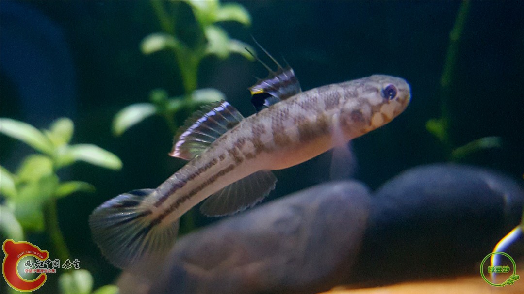 2016-04-07 10.40.17.jpg