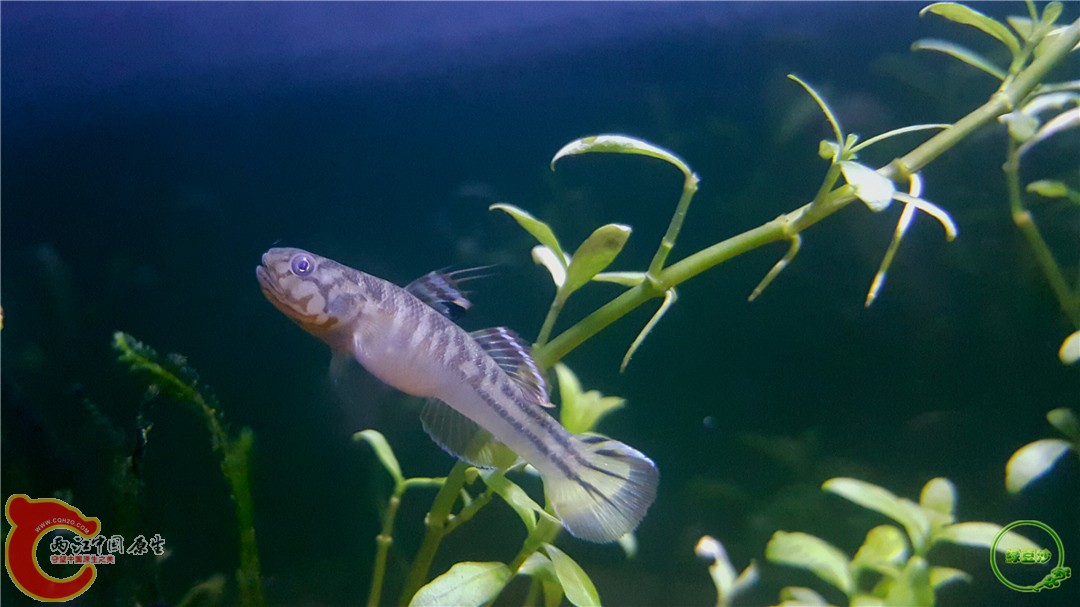 2016-04-07 10.41.16.jpg