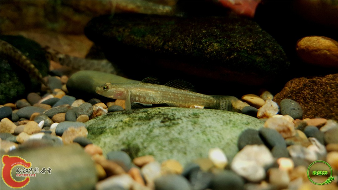 2016-01-02 13.32.16.jpg