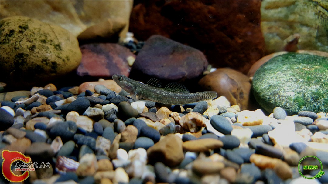 2015-12-30 18.30.35.jpg