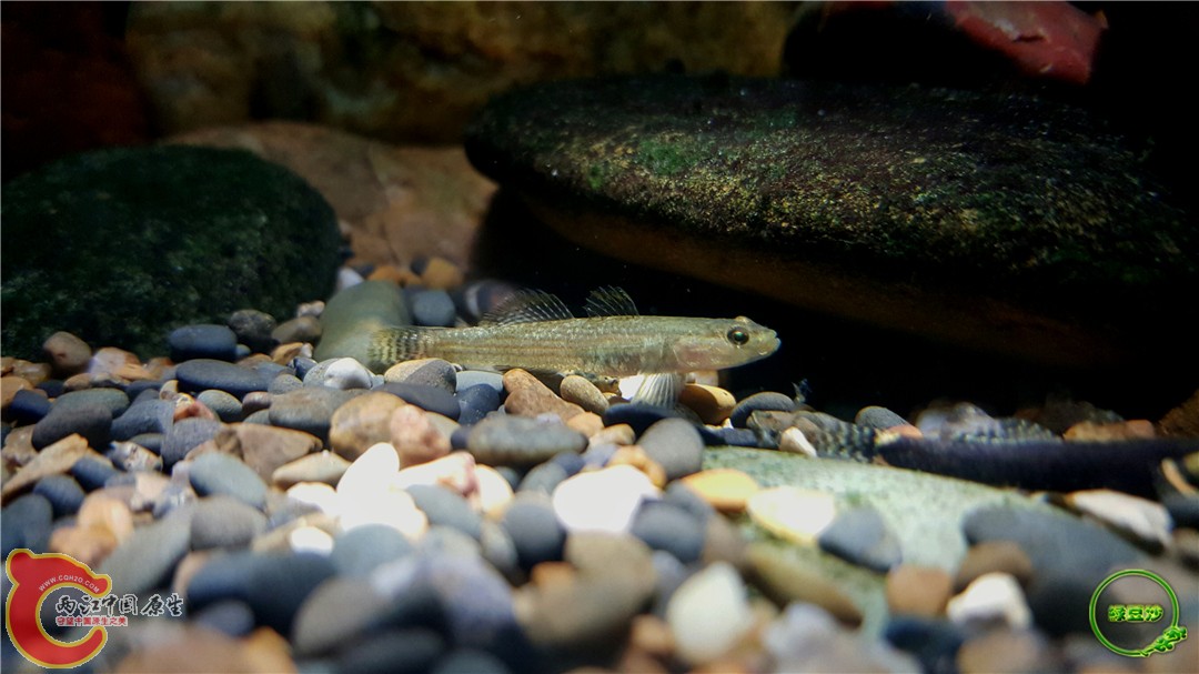 2015-12-30 18.35.41.jpg