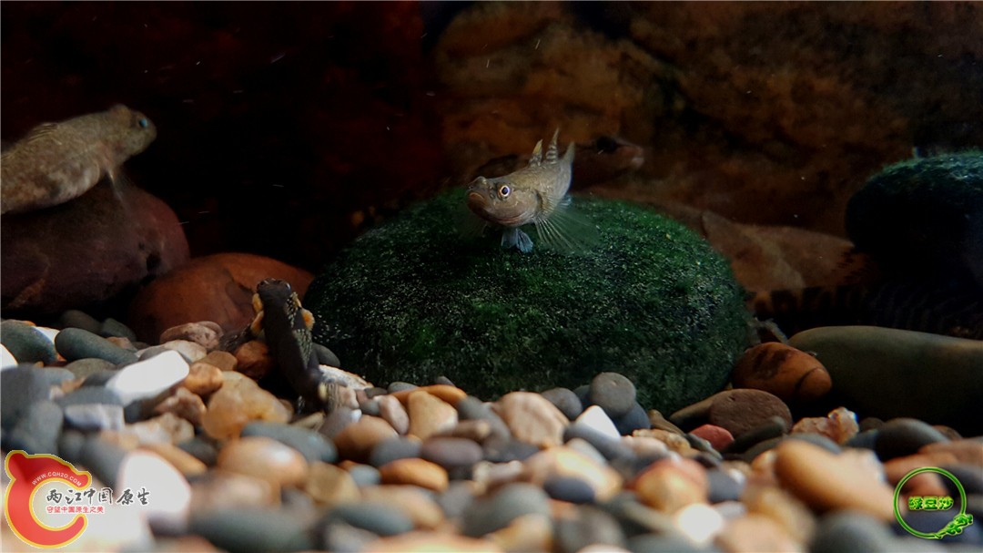 2015-12-30 18.42.27.jpg