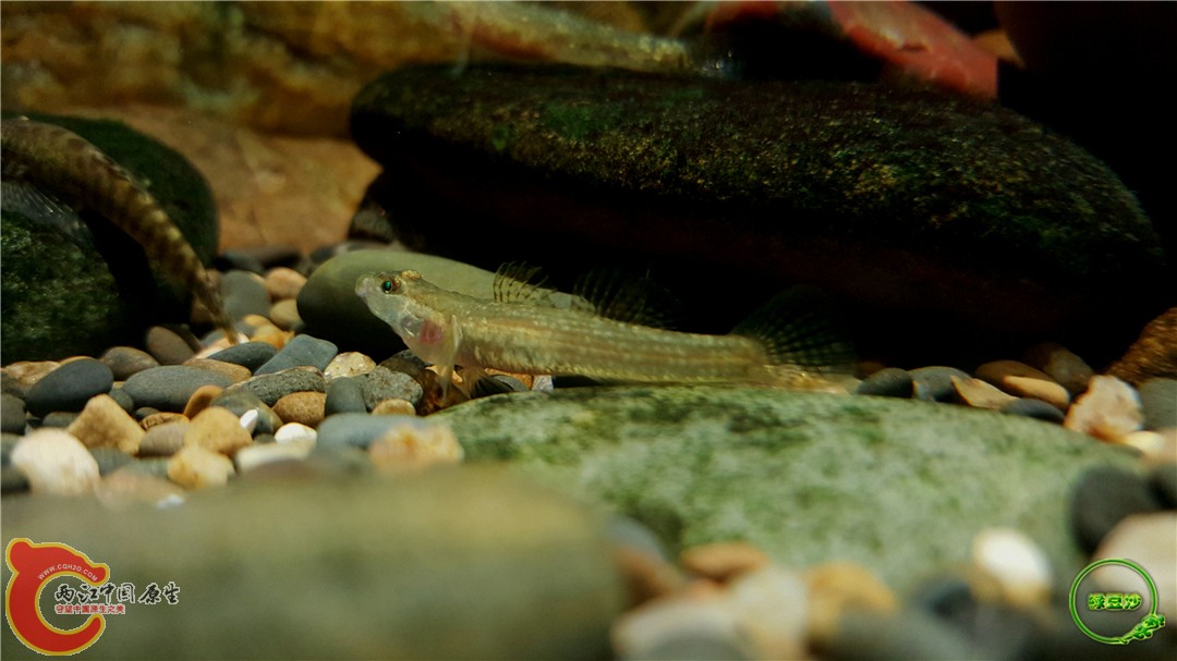 2016-01-02 13.31.17.jpg