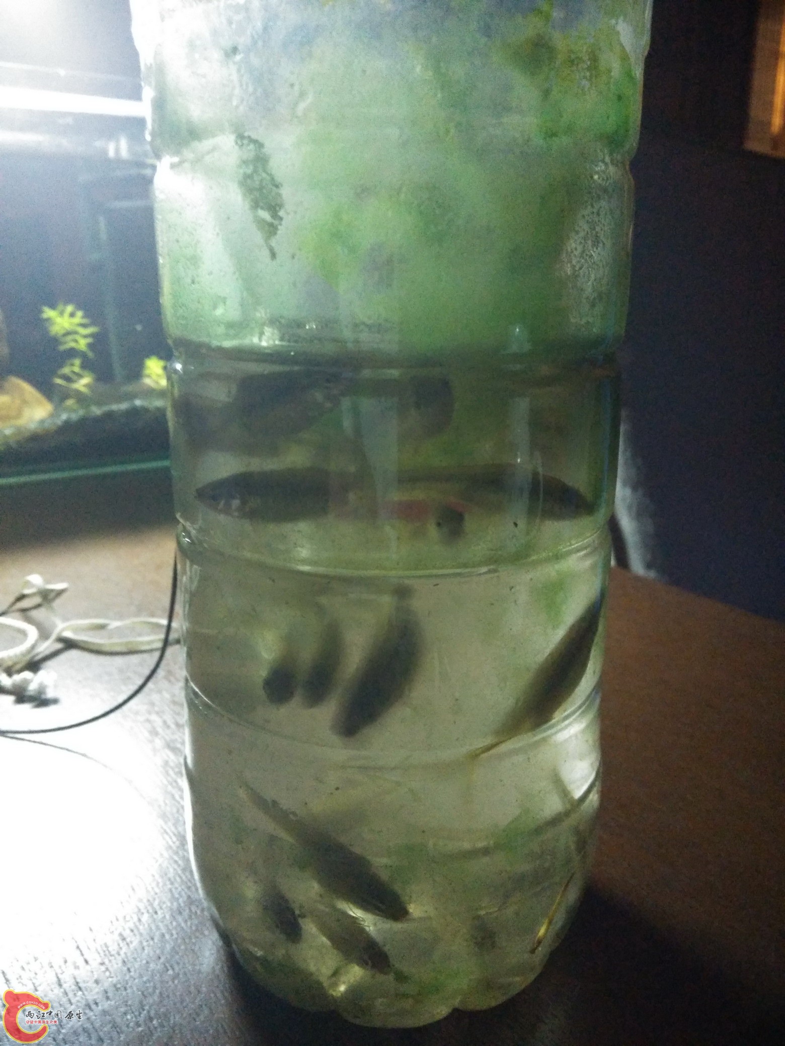 IMG_20160410_194814_调整大小.jpg