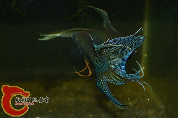 DSC_0099 副本.jpg