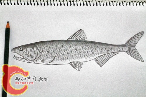 459650331_副本.jpg