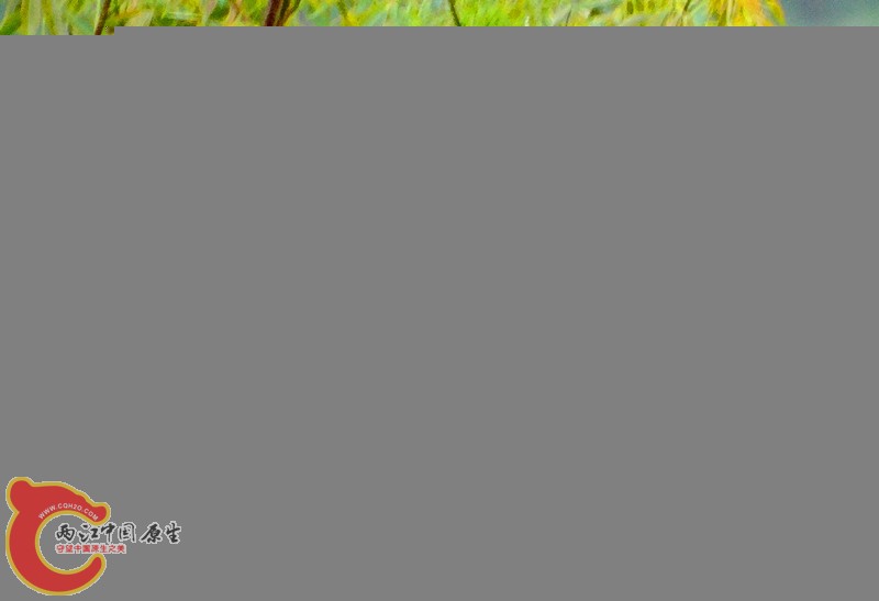 DSC02395.JPG