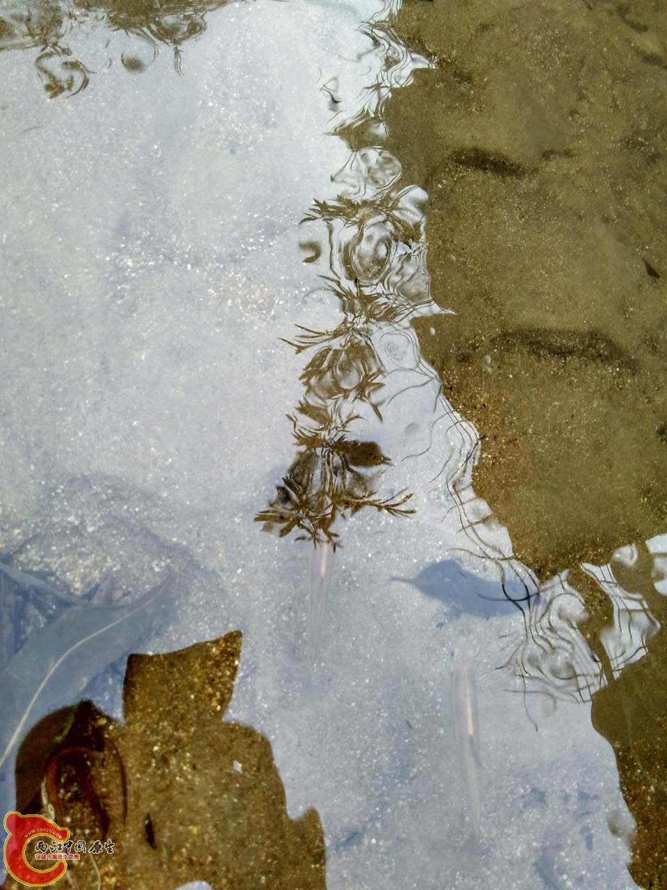 终
