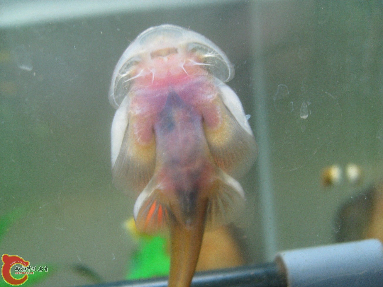 照片 241.jpg