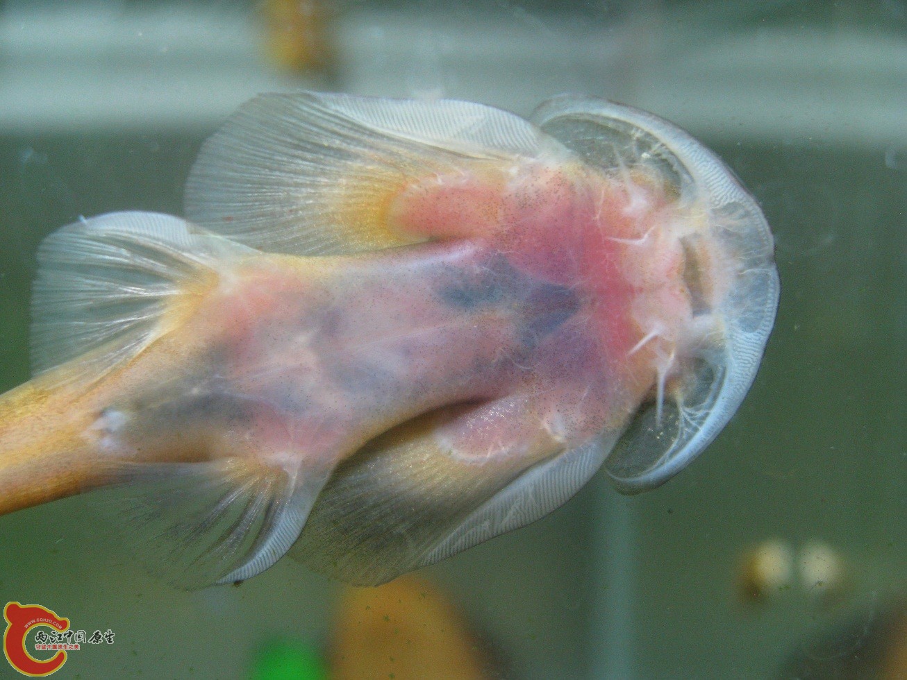 照片 243.jpg