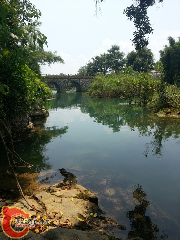 水很不错,目标鱼桂花