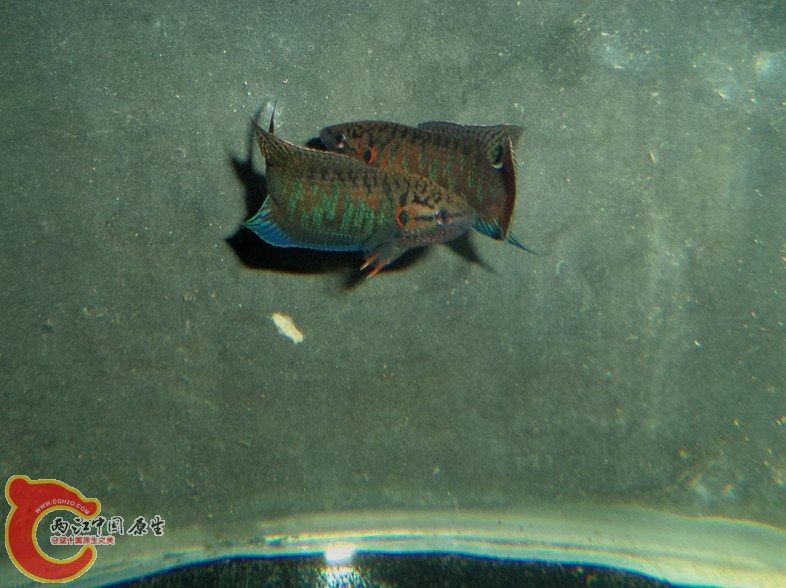 DSC03776.JPG