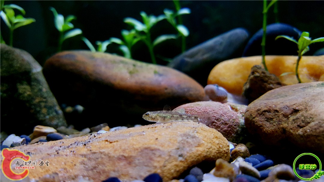 2016-03-30 00.39.01.jpg