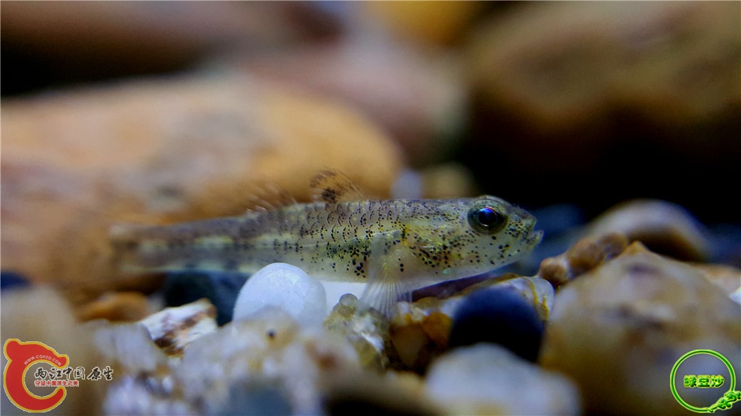 2016-03-30 00.39.36.jpg