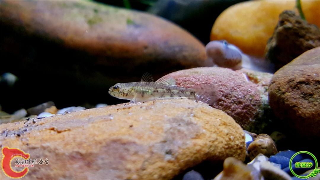 2016-04-01 10.36.51.jpg