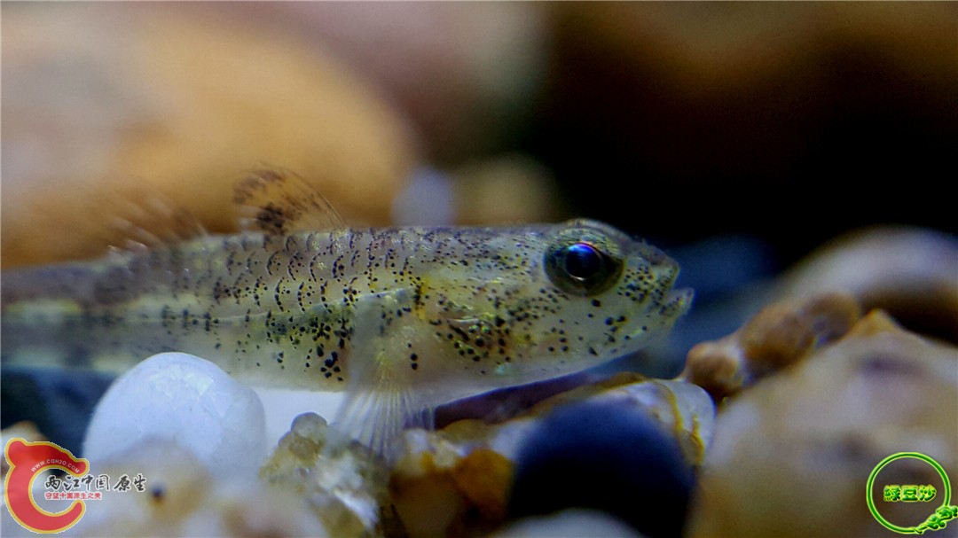 2016-04-01 10.38.04.jpg