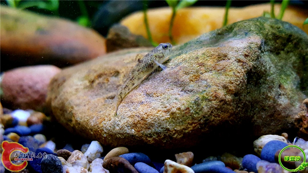 2016-04-01 10.40.00.jpg