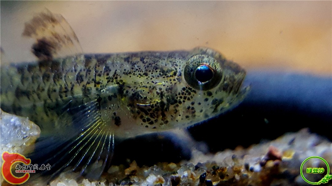 2016-04-07 10.35.04.jpg