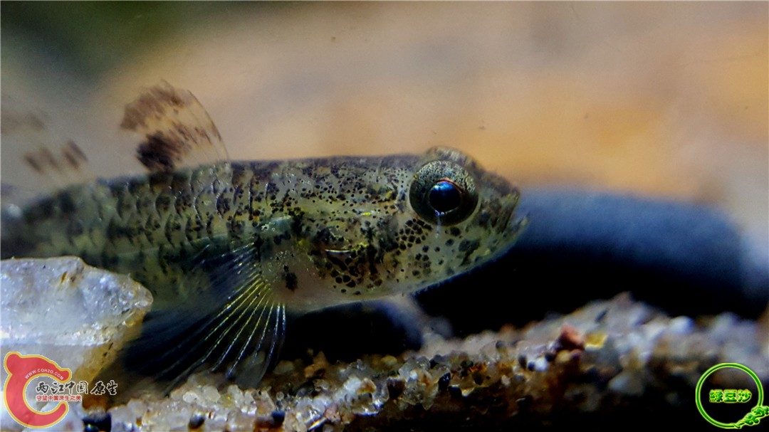 2016-04-07 10.35.25.jpg