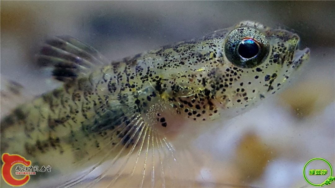 2016-04-07 10.44.04.jpg