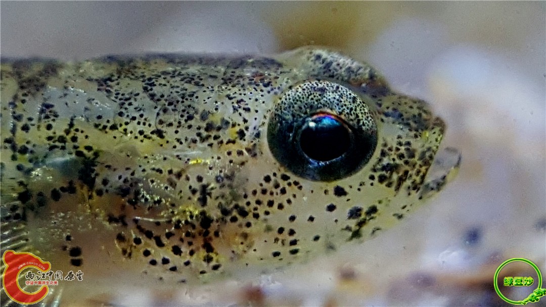 2016-04-07 10.49.19.jpg