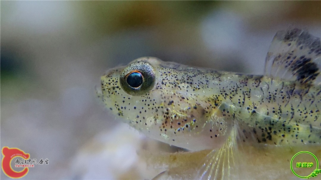 2016-04-07 11.01.05.jpg