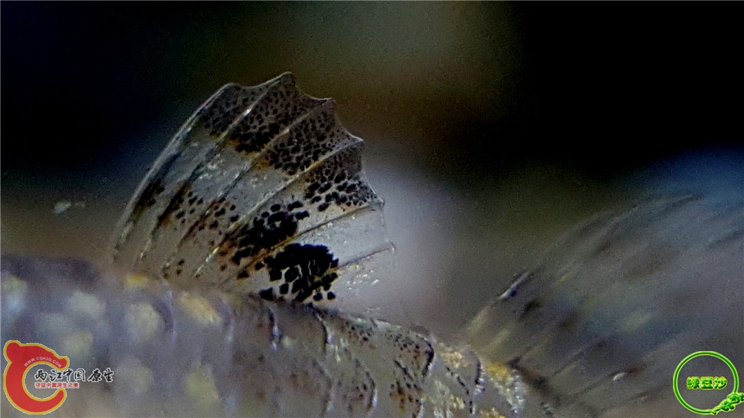 2016-04-10 10.49.32.jpg