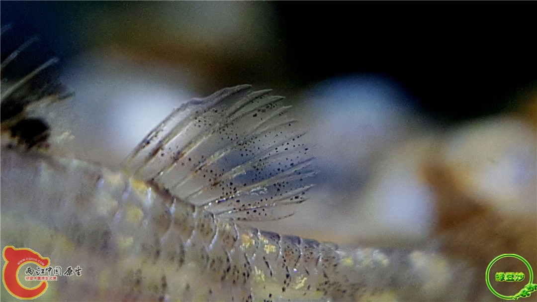 2016-04-10 10.50.19.jpg