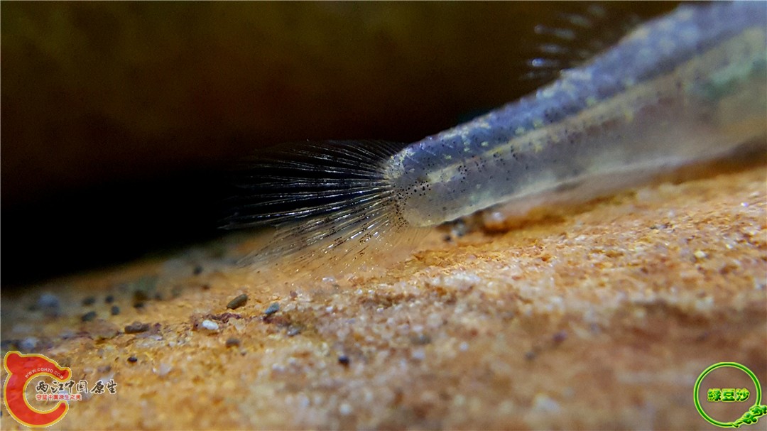 2016-04-10 10.50.57.jpg