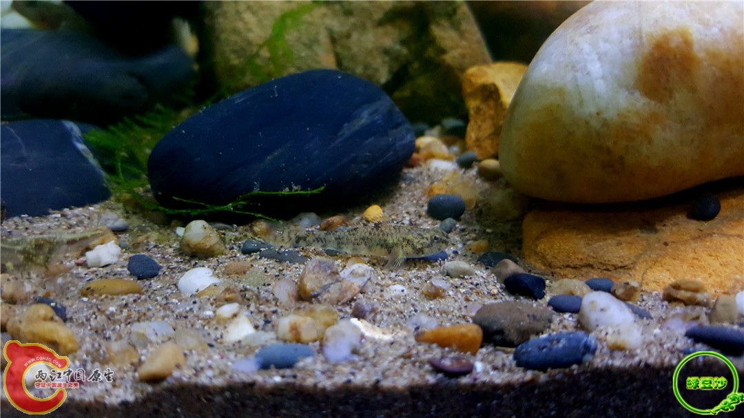 2016-04-11 00.45.31.jpg