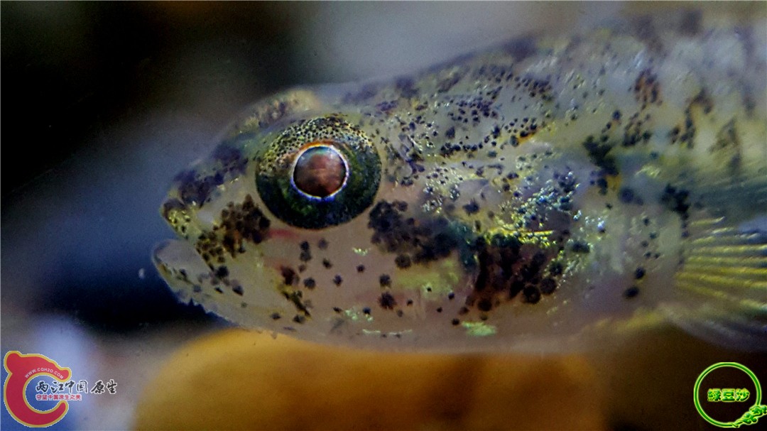 2016-04-11 00.46.09.jpg