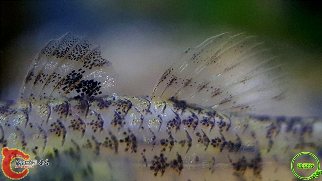 2016-04-11 00.46.30.jpg