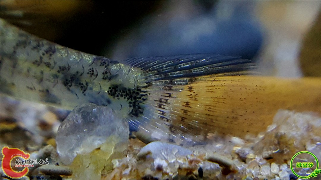 2016-04-11 00.46.52.jpg