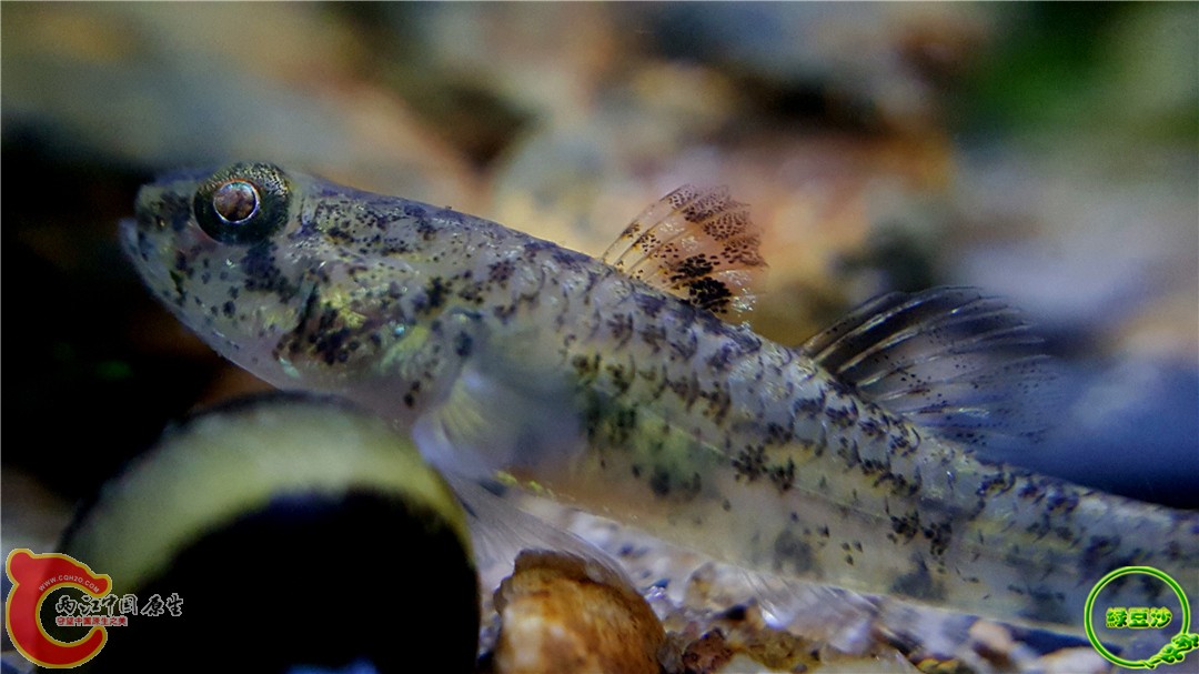 2016-04-11 00.47.22.jpg