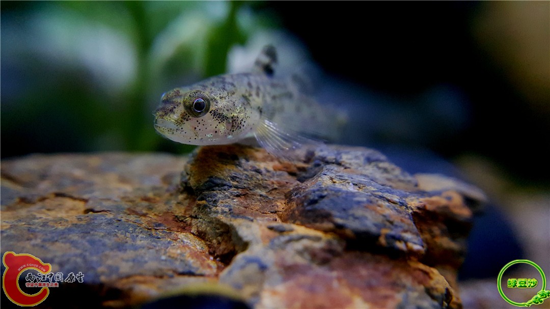 2016-04-16 20.33.29.jpg