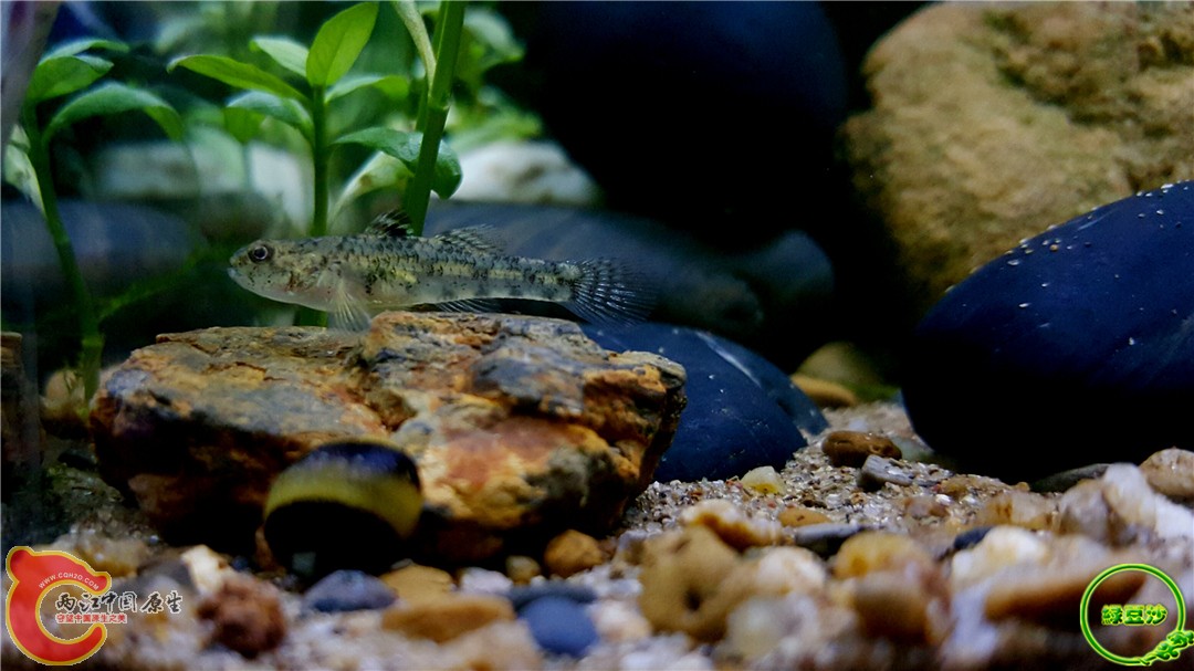 2016-04-16 20.34.26.jpg