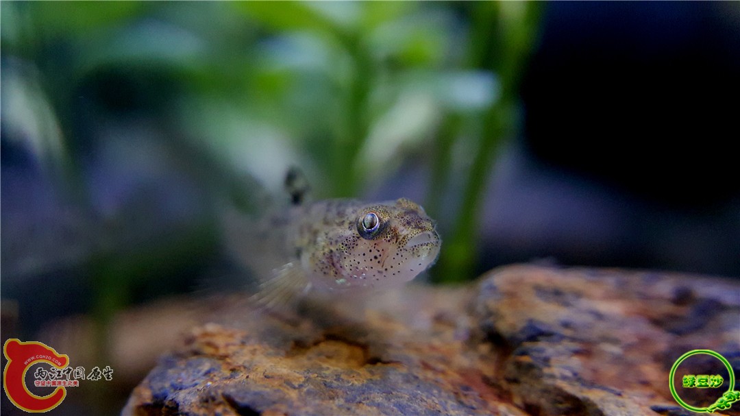 2016-04-16 20.34.50.jpg