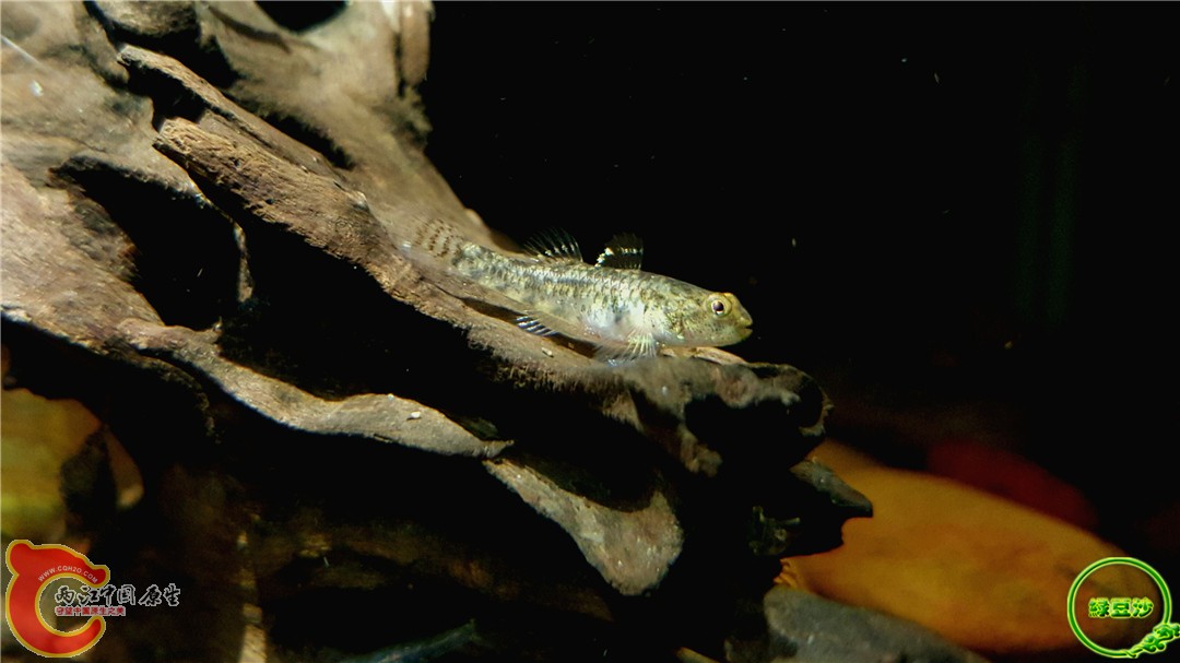 2016-04-20 20.58.00.jpg